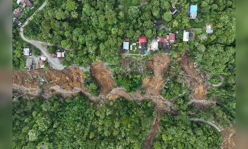 Assam: Over 87 acres of grazing land cleared in eviction drive - CNBC TV18