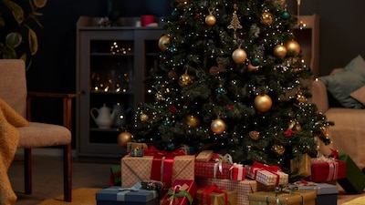 India Lights Up: From Midnight Mass to Santa Rides, Christmas Celebrated with Joy & Unity