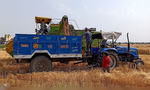 India resumes wheat exports after four years but high prices likely to limit demand