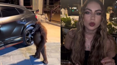 Uber monkey ride Dubai./Image Instagram