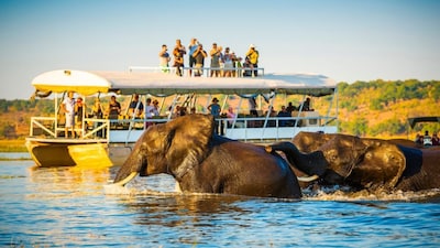 Looking for a wild adventure this December? From rainforests to savannahs, these top wildlife sanctuaries offer the best chances to see rare animals, stunning landscapes, and nature at its purest. Here are seven must-visit sanctuaries for wildlife lovers. (Image: Canva)