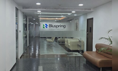 Bluspring targets 20% annual growth post-demerger