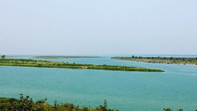 Picture: Wikimedia Commons