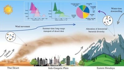 Himalayan bacterial population./ Image PIB