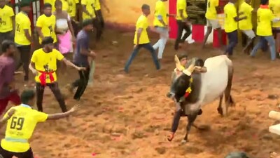 Jallikkattu Trichy./ Image  YouTube screenshot
