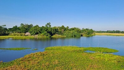 5. Majuli, Assam | Majuli, one of the world’s largest river islands, offers a unique cultural experience. January weather is cool and dry, making it easier to explore the island’s monasteries and rural life without travel disruptions. (Image: Wikimedia Commons)