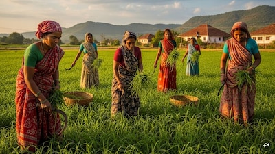 Ajit Pawar Reveals Ladki Bahin Scheme's Lok Sabha Election Link in Maharashtra