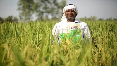 Rallis India Q3 Net Profit Plunges 5-Fold Due to Wage Code; Revenue, EBITDA Rise