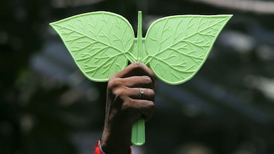 A supporter of All India Anna Dravida Munetra Khazhgam (AIADMK) holds a party's election symbol during a celebration. (Image Reuters file)