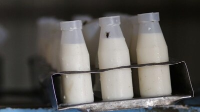 Varalakshmi Dairy was using ‘ethylene glycol’ as coolant in its refrigeration system. (Image Reuters file)