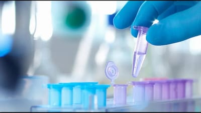 Alembic Pharma's Gujarat Facility Clears USFDA Inspection with Two Observations