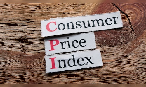 New CPI series reflects changing spending patterns, may make inflation less volatile: CEA