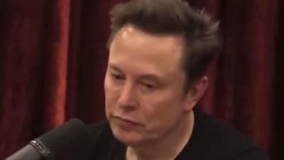 Elon Musk./ (Image X)