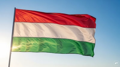 हंगरी चुनाव: विपक्षी सांसद पीटर मैग्यार ने इंटरव्यू वर्षगांठ से पहले ब्लैकमेल का आरोप लगाया.