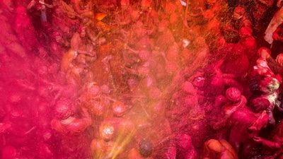 Mathura's Holi is celebrated for more than a week with unique rituals like Lathmar in Barsana, where women playfully hit men with sticks while men try to defend themselves.(Image Shutterstock)