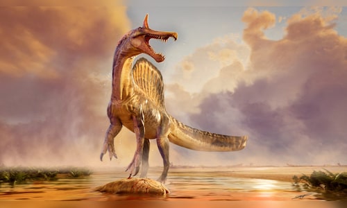 '... but never say never': Palaeontologist Steve Brusatte on reviving dinosaurs, AI-led discovery, more TV18