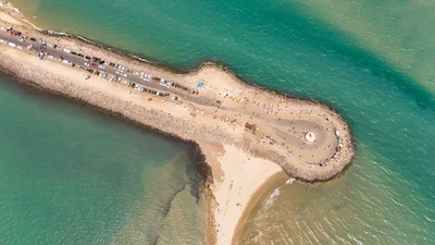 6. Madras State to Tamil Nadu (1969) | On January 14, 1969, Madras State officially became Tamil Nadu. The change followed strong demands to reflect Tamil linguistic and cultural identity. (Image: Canva)