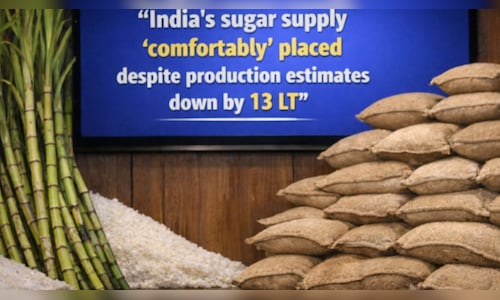 Food Secretary: India's sugar supply "comfortably" placed despite production estimates down by 13 LT
