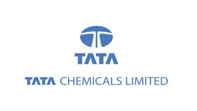 टाटा केमिकल्स का Q3 घाटा बढ़कर ₹93 करोड़ हुआ, मार्जिन में तेज गिरावट