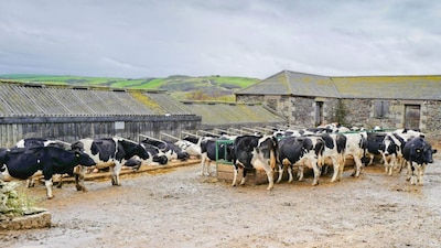 Bangladesh opens agriculture and industrial sectors to US companies | Bangladesh will provide preferential market access to a wide range of US agricultural and industrial goods under the new reciprocal trade agreement, according to the White House. These include dairy, beef, poultry, soy products, fruits and nuts, chemicals, medical devices, machinery, auto parts, ICT equipment and energy products. The move significantly opens Bangladesh’s farm sector to American exporters, particularly in dairy and meat. (Image: Canva)