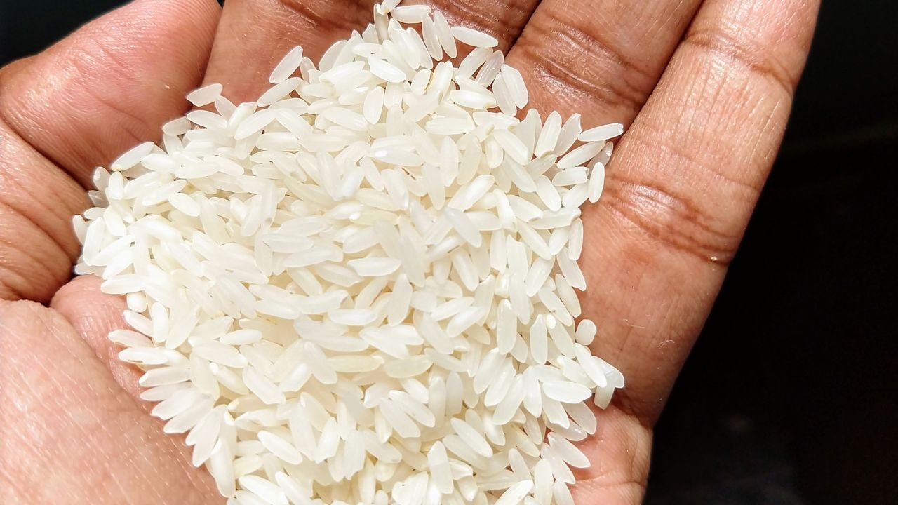The Anatomy of Agrarian Supply Chain Compression: Analyzing India's Basmati Export Contracture