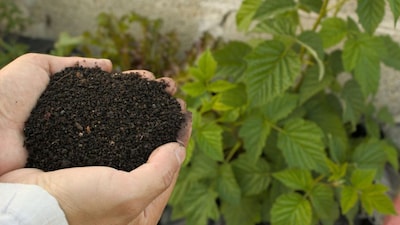 West Asia Conflict Threatens India's Fertiliser Supply if Prolonged: FACT