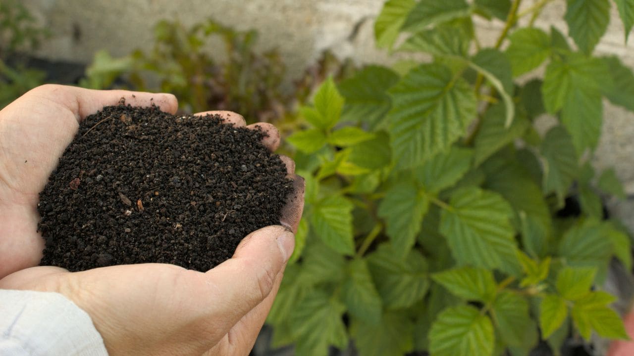 The Geopolitics of Nitrogen: Decoupling Energy Conflict from Global Caloric Security