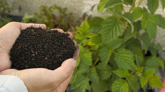 1772777425 j2df2HJHI6 fertiliserkharifagricultureMar06jpg 7I71gDXZlt