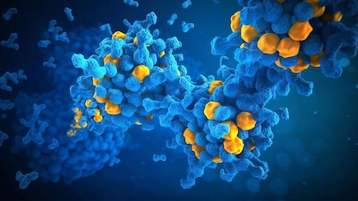 Recycled Plastic Demand Soars: Ganesha Ecosphere Margins Hit 14-15% Amid Oil Spike