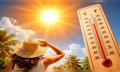 Temperatures set to rise across North, Central and East India: IMD