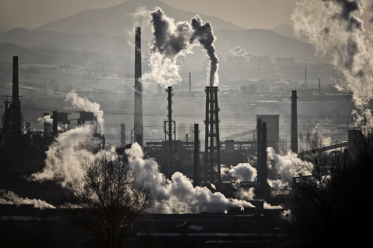 Decarbonizing the Hegemon: The Structural Mechanics of China’s 17 Percent Emission Mandate