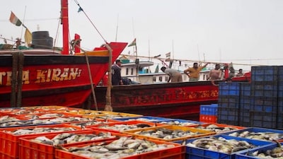 India Backs WTO Fisheries Subsidy Draft, Safeguards Small Fishermen