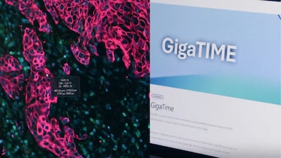 Gigatime. (Images X)