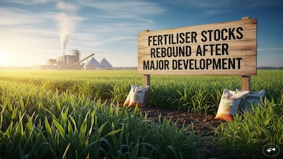 Fertilizer Stocks Soar 11% on New Natural Gas Regulation Order