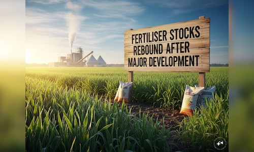 Explained — Why fertilizer stocks Chambal, RCF, FACT, Deepak surged up to 11% on Tuesday