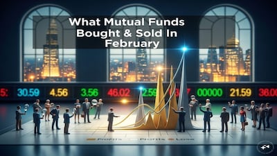 Mutual Funds' February Bets: Private Banks, IT, E-commerce Top Buys; PSU Banks Sold