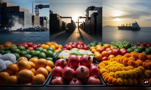 Finance ministry rules out separate CPSE pay panel for non-board staff