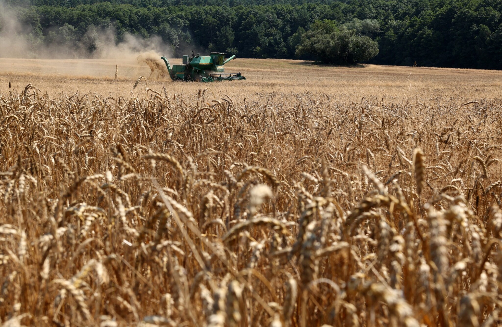 Commodities are having a standout 2026, and this ETF has momentum on its side