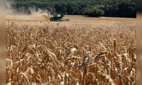 Commodities are having a standout 2026, and this ETF has momentum on its side