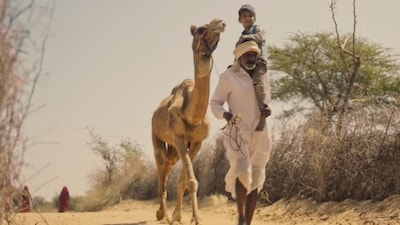 Omlo. (Image YouTube)