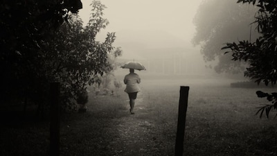 4. Wayanad (Kerala)
Nestled in the lush landscapes of Kerala, Wayanad is a wonderful destination to experience South India during the monsoon. Known for its greenery and scenic beauty, it also hosts the famous three-day monsoon festival called Splash. During the rainy season, the tea gardens appear more vibrant and the trekking trails become even more exciting, making Wayanad a delightful place for nature lovers and adventure seekers alike.
• Nearest airport: Calicut International Airport
• Average temperature during monsoon: 24-31℃, (Image: Wikimedia Commons).
