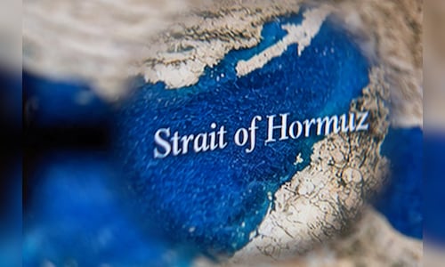 Make in India + trade deals could trigger next FDI boom, says HSBC India CEO