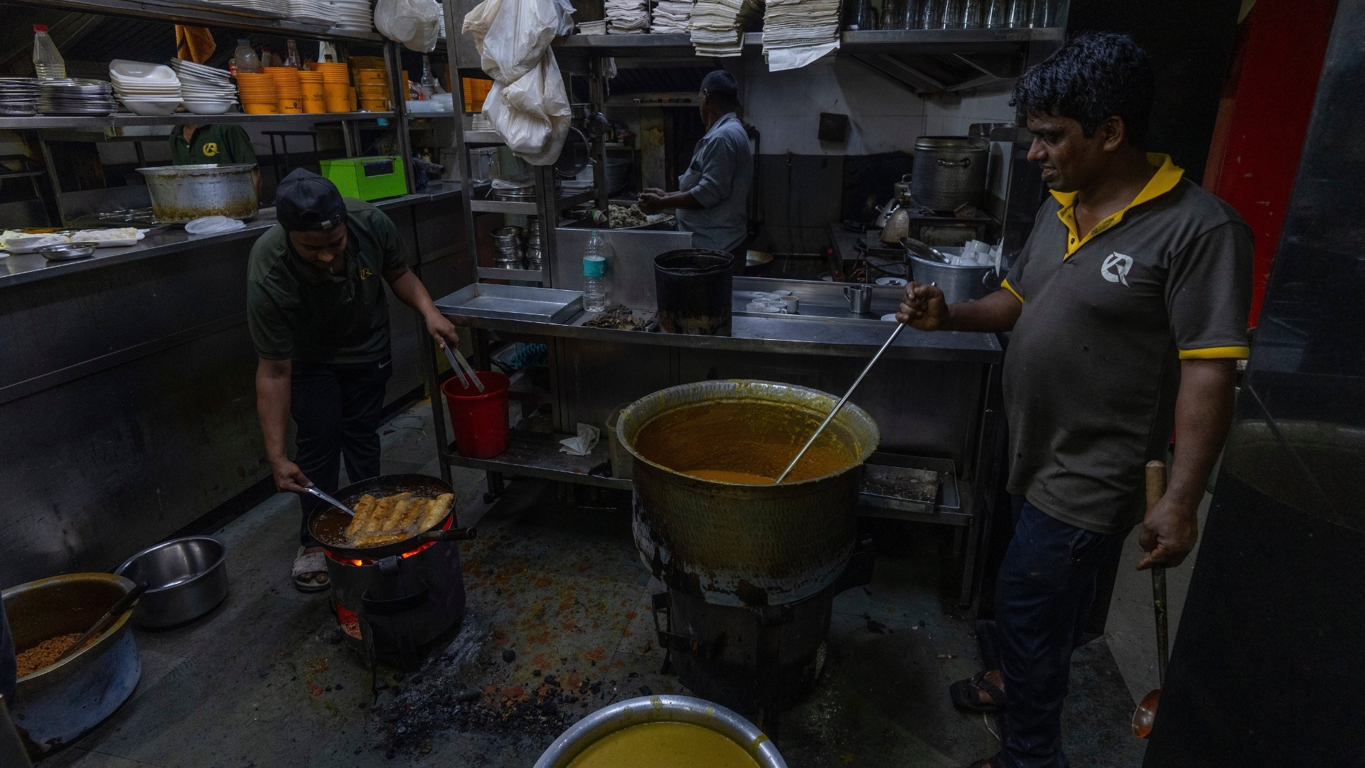 The Brutal Math of the Kitchen and the Death of the Forest