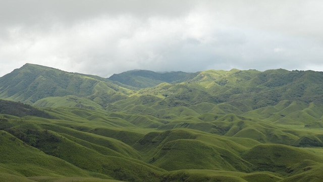 Dzukou ValleyValley of Flowers East Nagaland Manipur border Dzukou lily bloom rolling hills Dzukou green hills Nagaland cold streams Dzukou