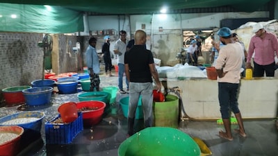 Ginger garlic paste unit. (Image X)