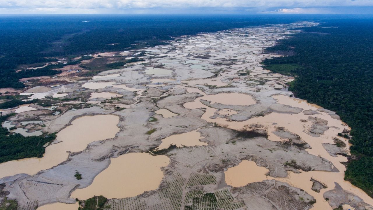 The Golden Cartels and the Death of the Peruvian Amazon