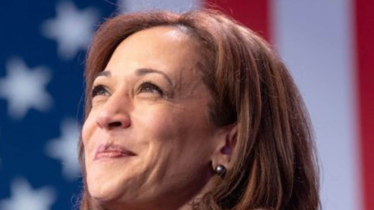 Why Kamala Harris is already teasing a 2028 comeback