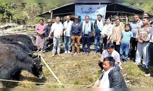 Abtak.com - Business - News Image