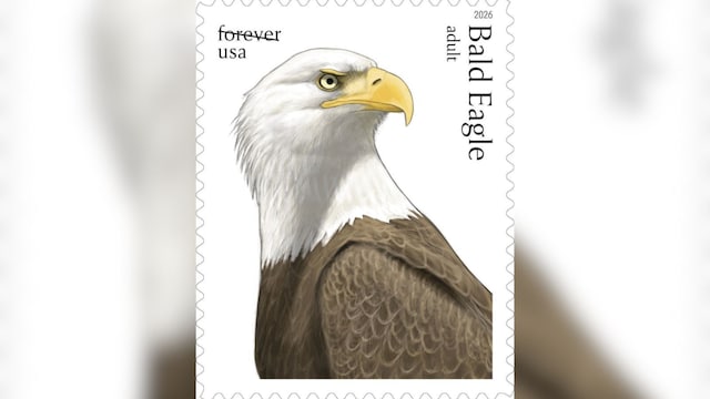 bald eagle stamp 4 2026 05 04d0e725f66f90c4c5ce7ce5efa8ca99