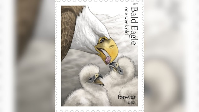 bald eagle stamp 5 2026 05 37ef4a744cd8f16dc5a8ca6467f9c5c4